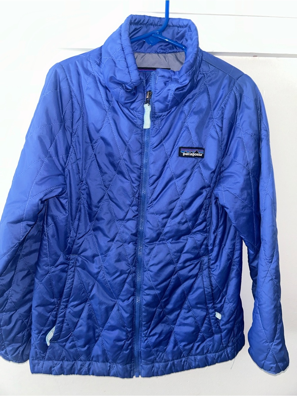 Patagonia Kids Blue Quilted Puffer Jacket
